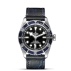 Tudor Black Bay